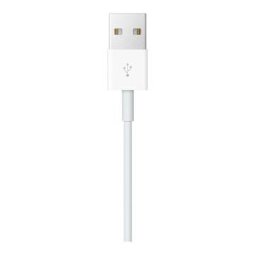苹果 Lightning/闪电转 USB 连接线 数据线 充电线 (1 米)