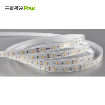新-三雄极光LED低压灯带PAK544088
