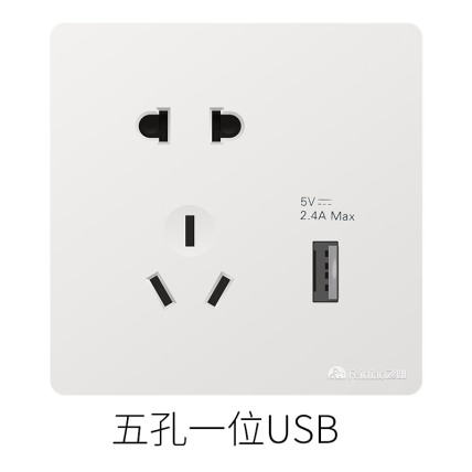 飞雕雅佳系列两极加两极带接地插座加一位USB-A电源插座
